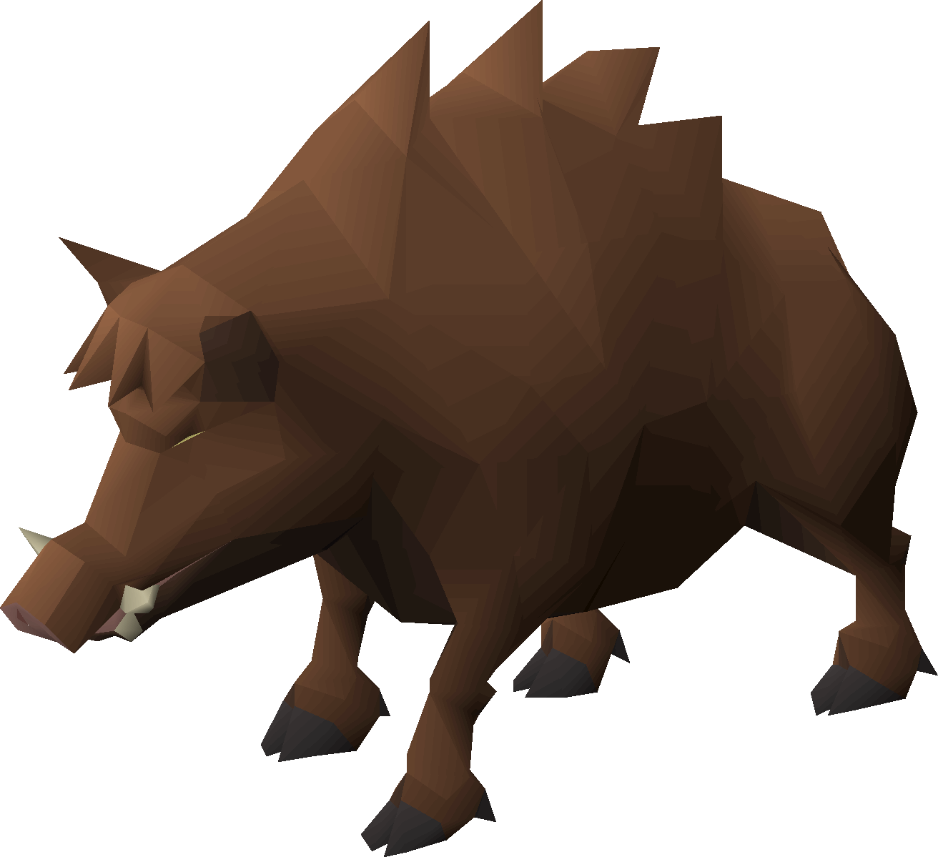 Enraged Boar
