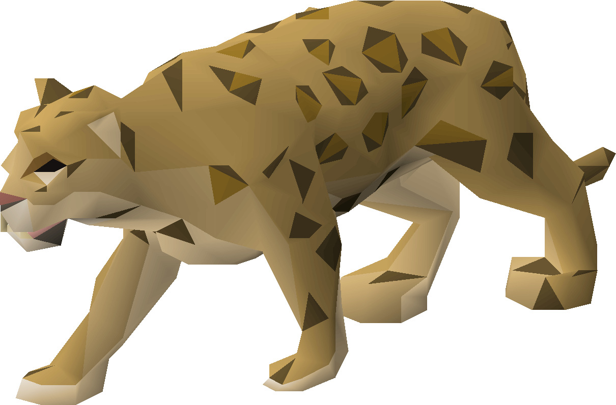 Jaguar cub