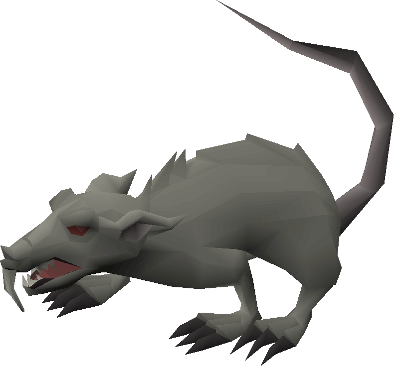 Giant rat