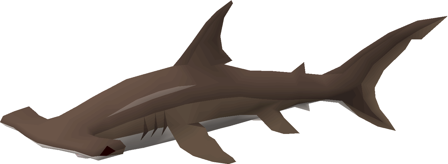 Hammerhead shark