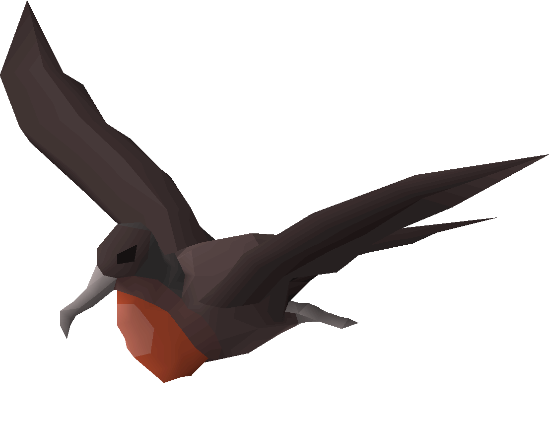 Frigatebird