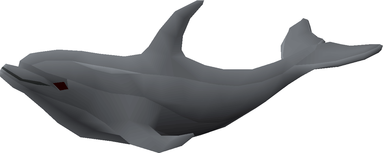 Dolphin