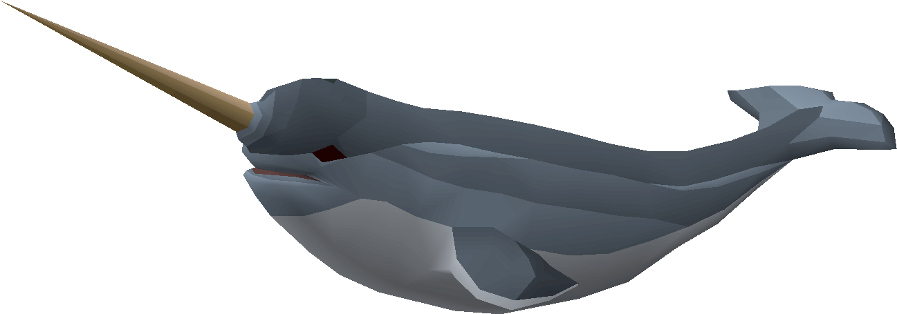 Narwhal