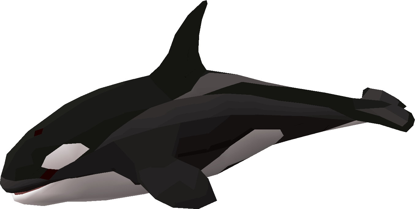 Orca