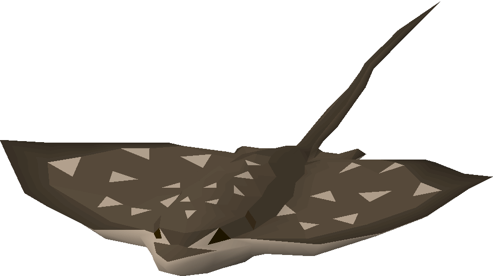 Eagle ray