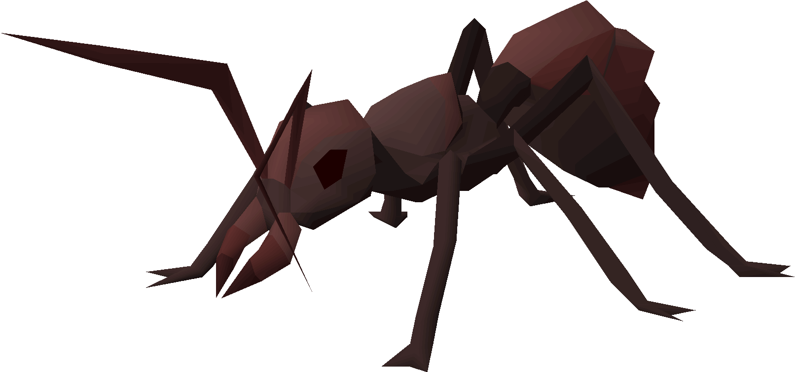 Giant ant
