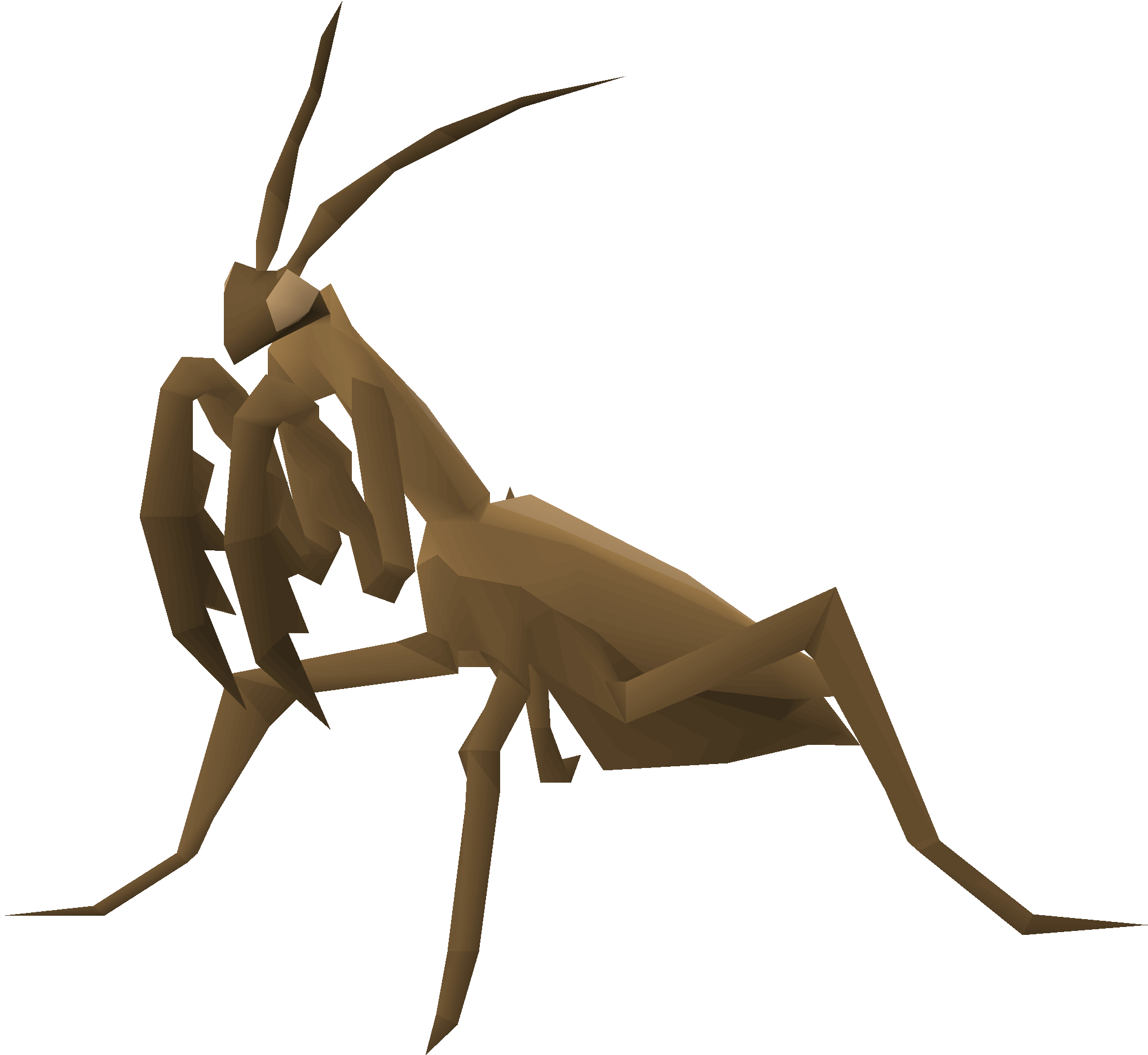 Praying mantis
