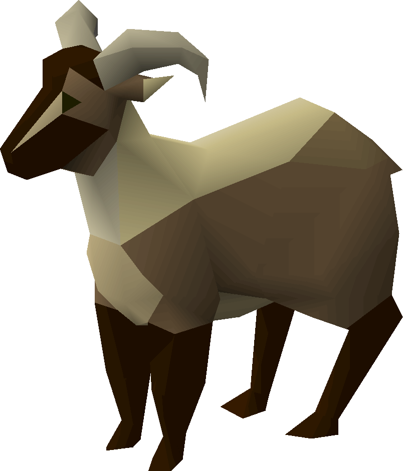 Goat