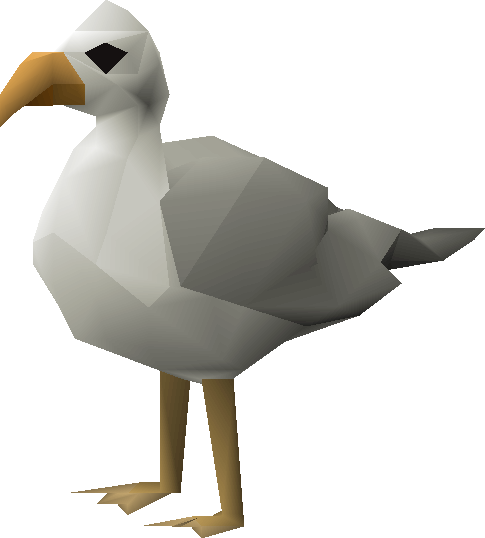 Seagull