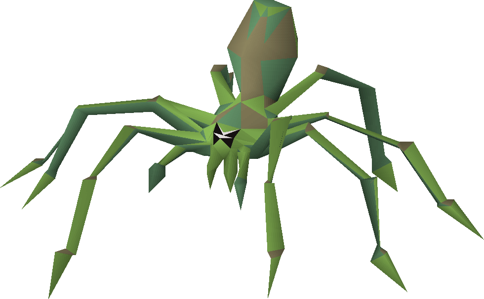 Jungle spider