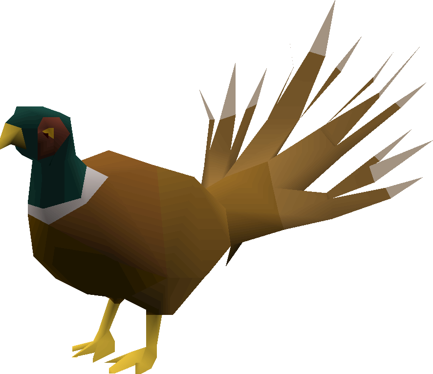 Pheasant