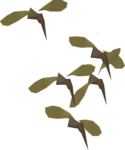 Mosquito swarm