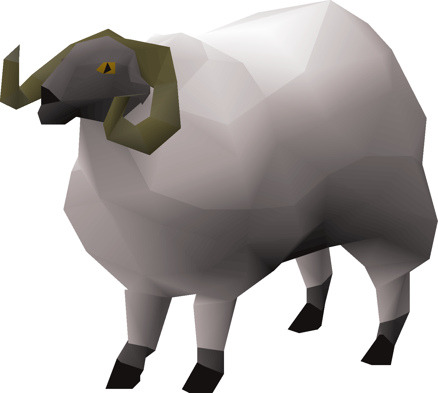 Ram