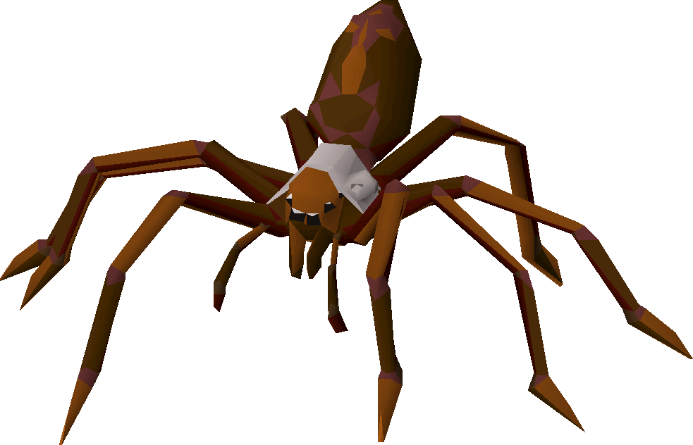 Huge spider