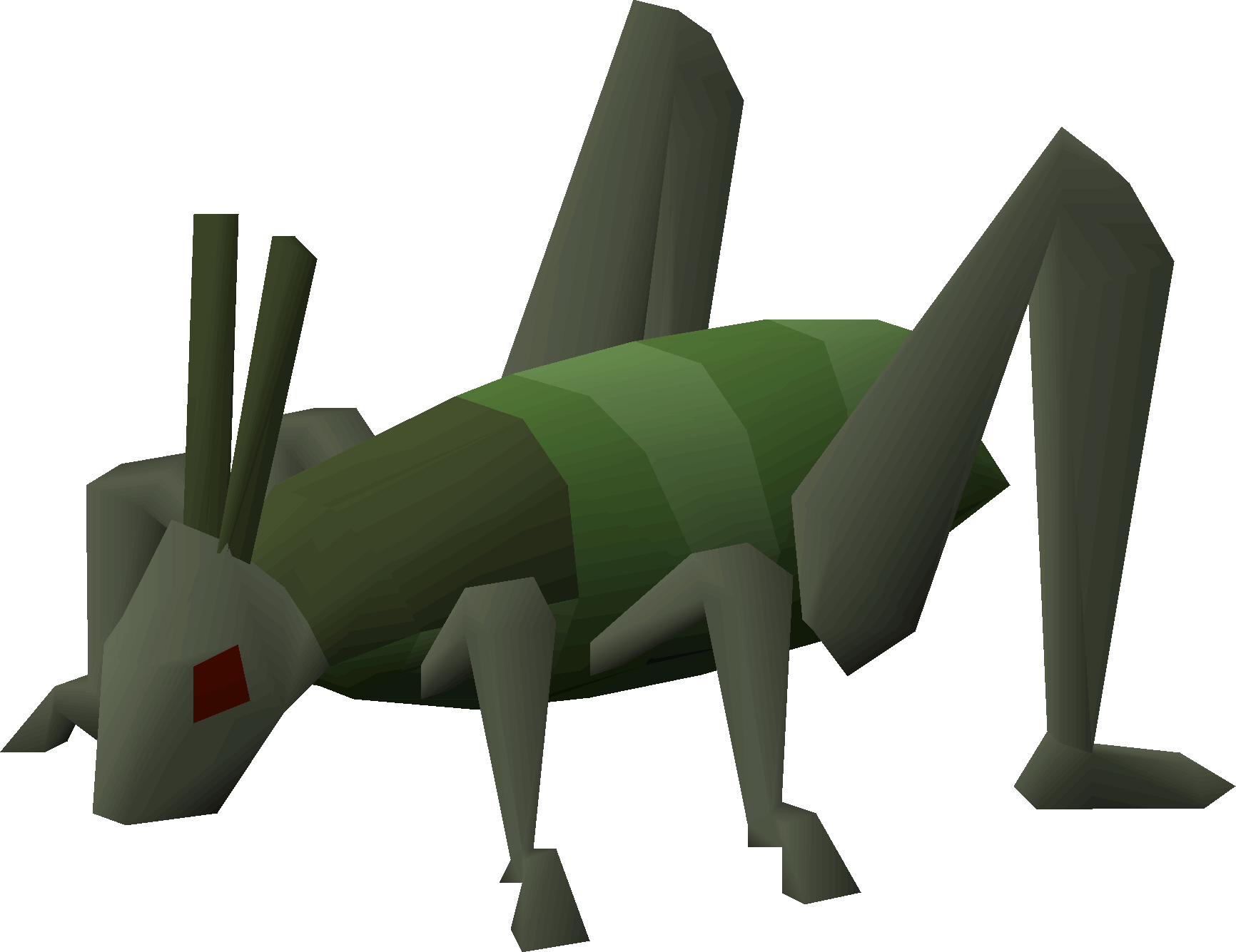 Locust
