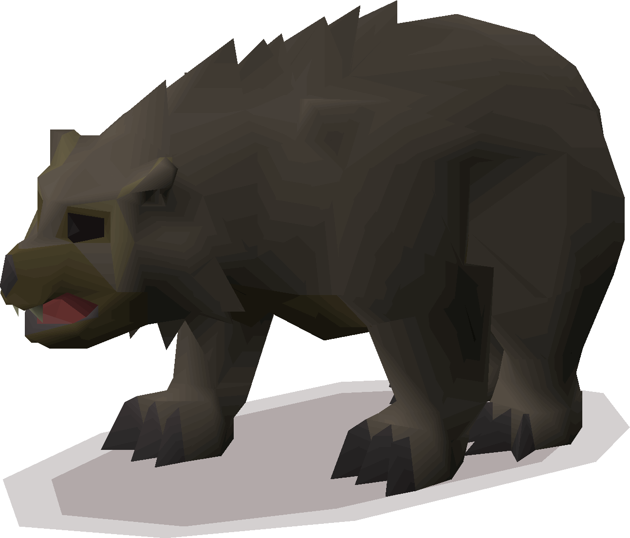 Grizzly bear cub