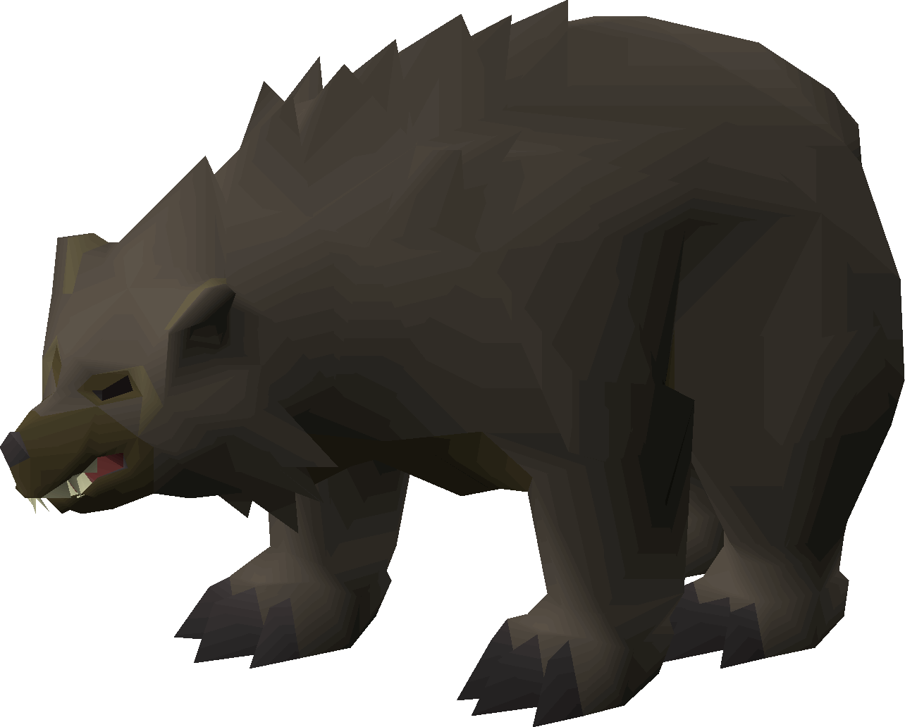Grizzly bear